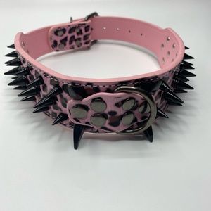 Dog Collar with Spikes